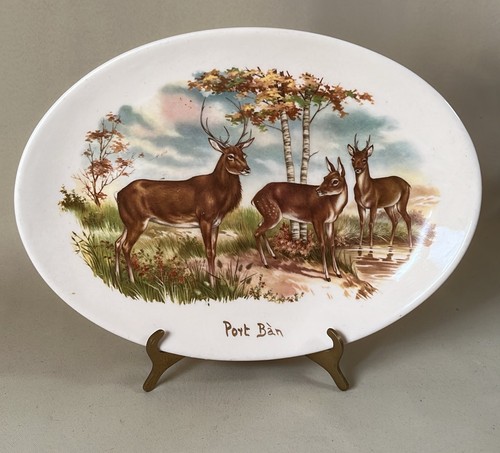 Vintage west highland pottery - west,