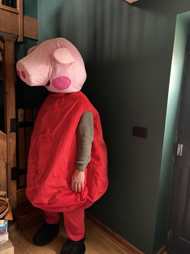 Peppa pig adult costume - pig,