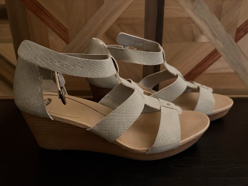 Size scholl s - size, scholl’s