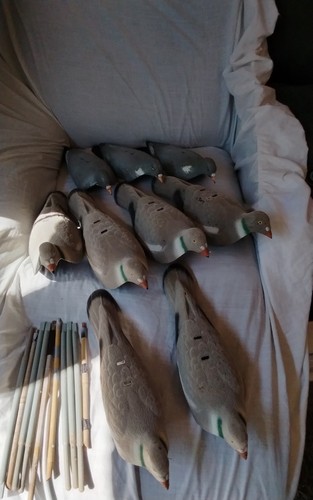 Decoy half shell plastic - decoy,