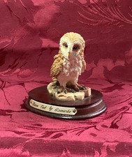 Barn Owl By Leonardo On a