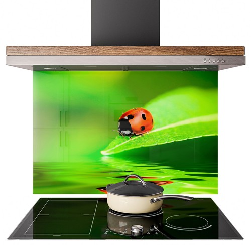 Glass splashback kitchen tile - splashback,