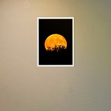 A2 A3 A4 A5 Thin Picture Frame