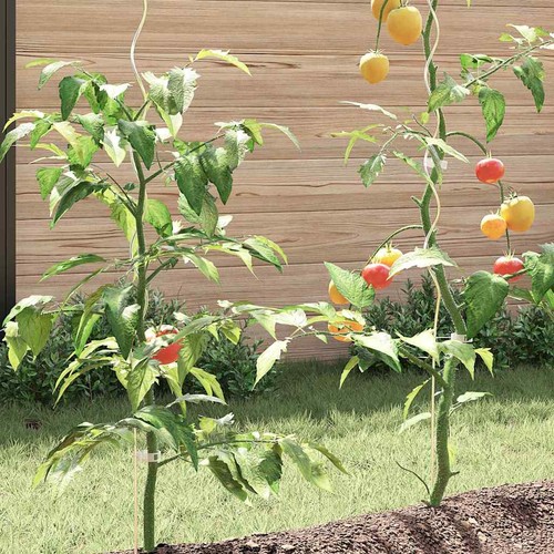 20x 50x spiral plant - 5x,