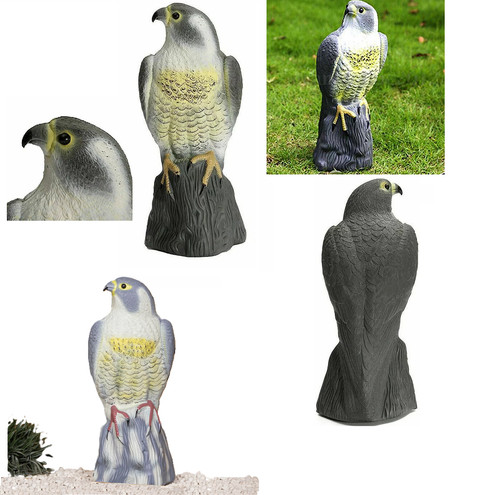Decoy hawk garden bird pest - decoy,