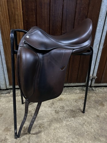 Brown equipe emporio - brown, 17