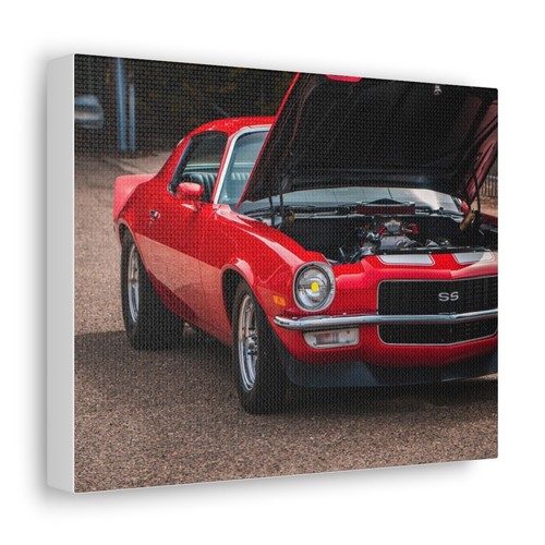 Vintage chevy camaro - vintage,