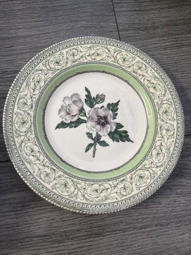The royal horticultural - royal,