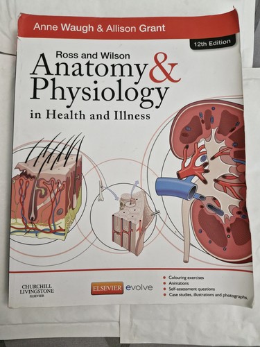 Ross wilson anatomy - wilson,