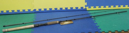 Fenwick hmx spinning rod 6 - hmx,
