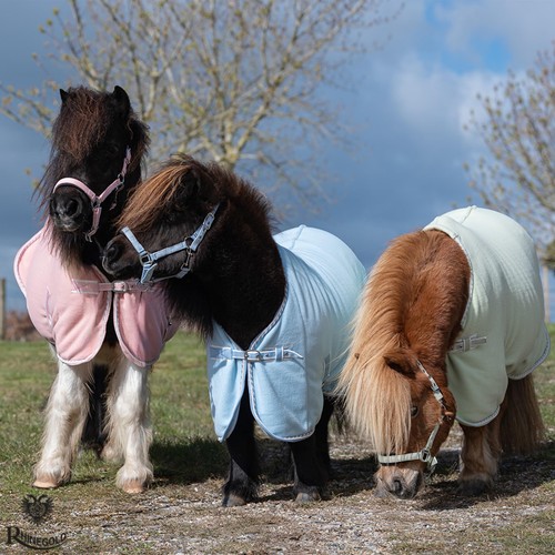 Mini pony shetland fleece - fleece, rug