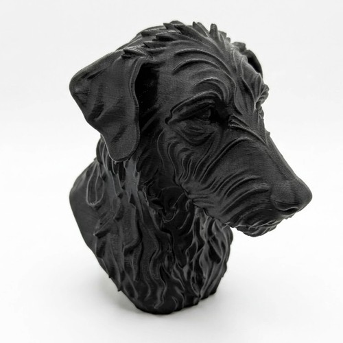 Rough hair lurcher - lurcher, dog
