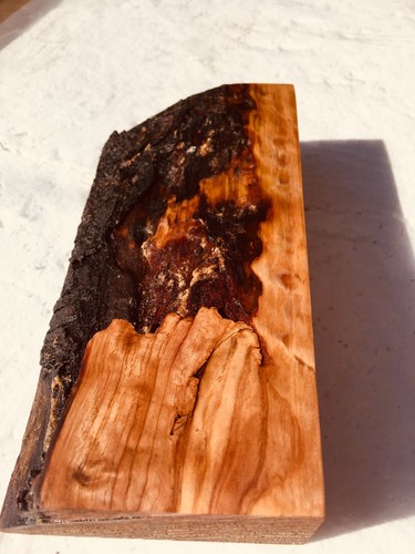 Sapwood timber spalted live - sapwood,