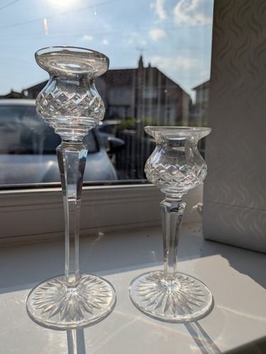 Stuart crystal thistle - stuart,