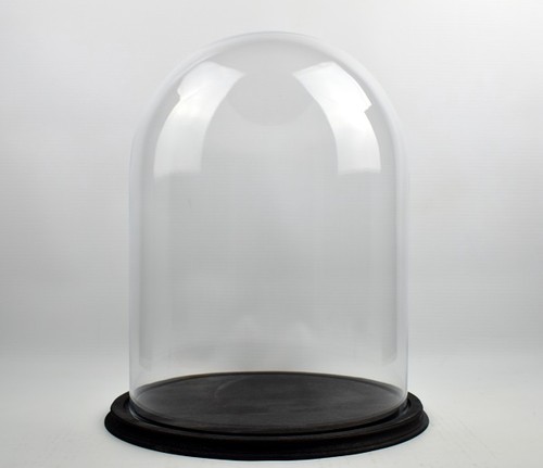 Clear circular glass dome - circular,