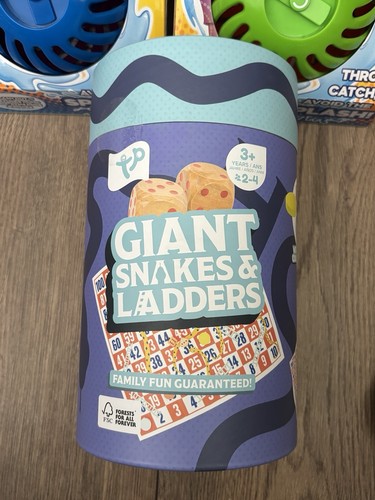 Giant snakes ladders - ladders, game