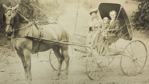 Rppc horse drawn - horse,