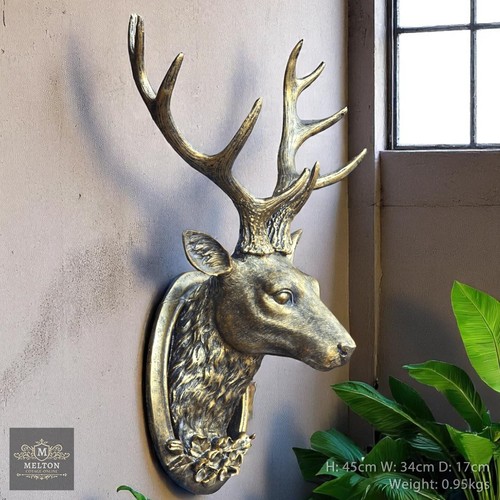 Wall mounted stags head - mounted,