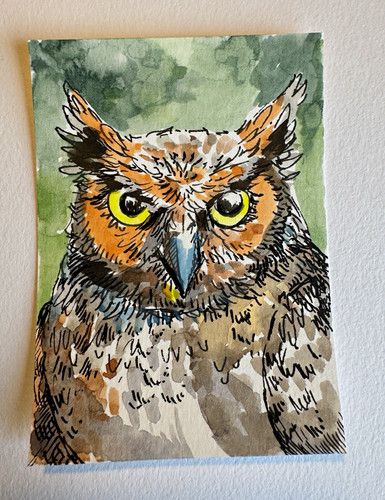 Original owl illustration - owl,