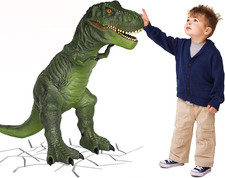 Large Soft Dinosaur Toys- 28