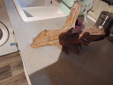 Vivarium Wood Logs for Sale