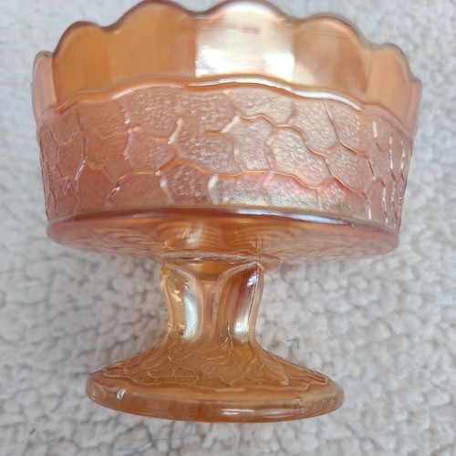 Fenton marigold carnival - marigold,