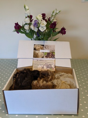 Shetland raw fleece - shetland,