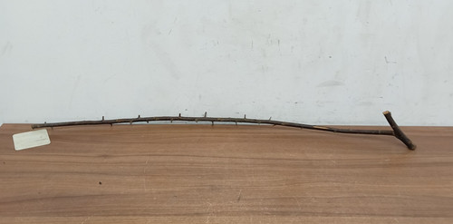 Blackthorn shank walking stick - shank,