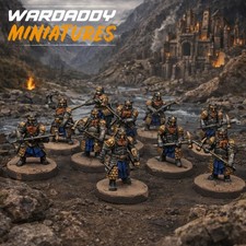 Pro Painted warhammer Lotr