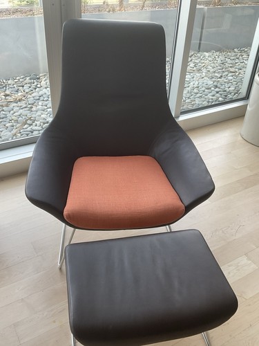 Walter knoll bird - walter,