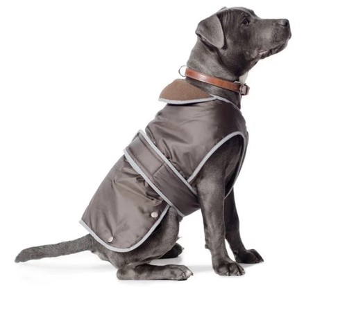 Ancol muddy paws - muddy,