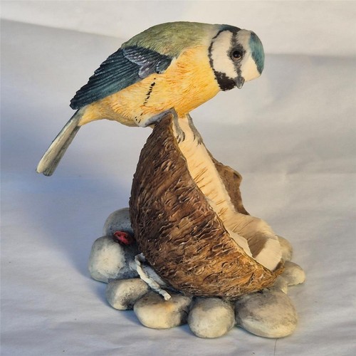 Border fine arts blue tit - fine,