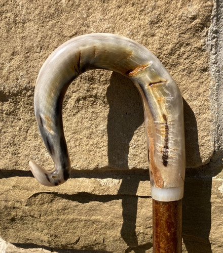 Rams horn crook on - horn, hazel
