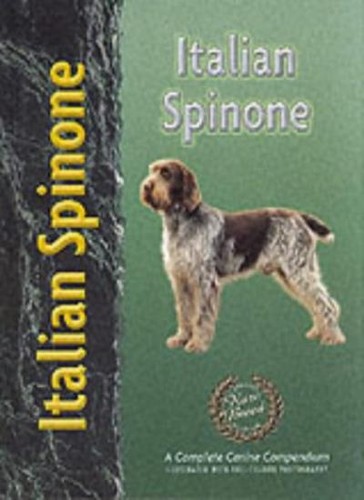 Italian spinone pet - spinone, (pet