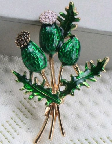 Cute brooch thistle - cute,