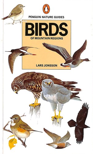 Birds mountain regions - birds,