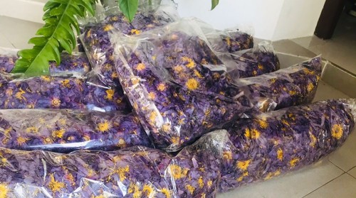 Blue lotus whole flowers - blue,