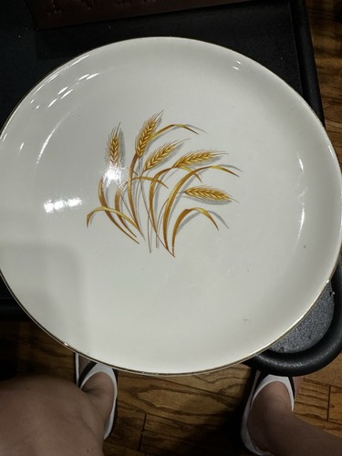 Set white round dinner - set,