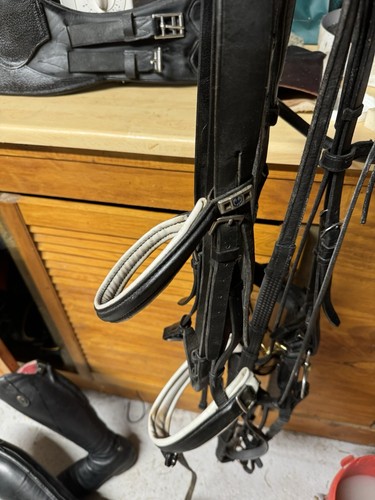 Stubben full bridle black - stubben, in