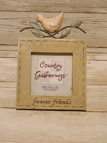 Country gatherings forever - ,