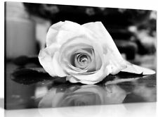 Black & White Rose Canvas Wall Art Picture Print