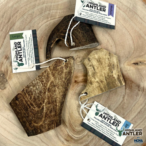 Antler fallow small medium or - antler,
