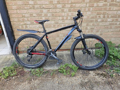 Marin bobcat trail - bobcat, 19"