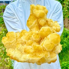 10.7LB Natural Pineapple yellow Crystal Cluster Point Quartz Healing Mineral