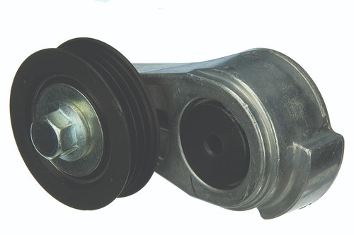 Jaguar type water - type,