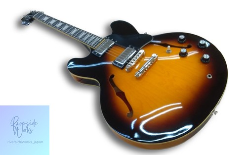 Burny electric guitar srsa - electric,