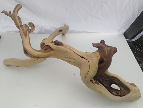 Manzanita driftwood branch - lg,