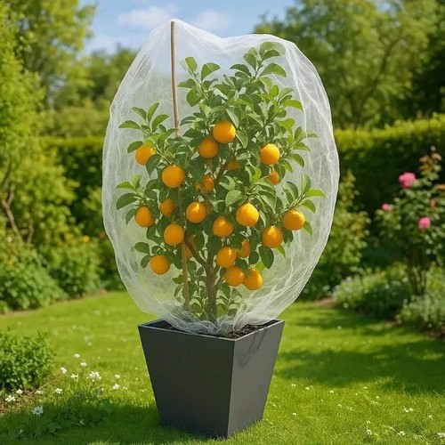 Garden bird netting mesh plant - garden,