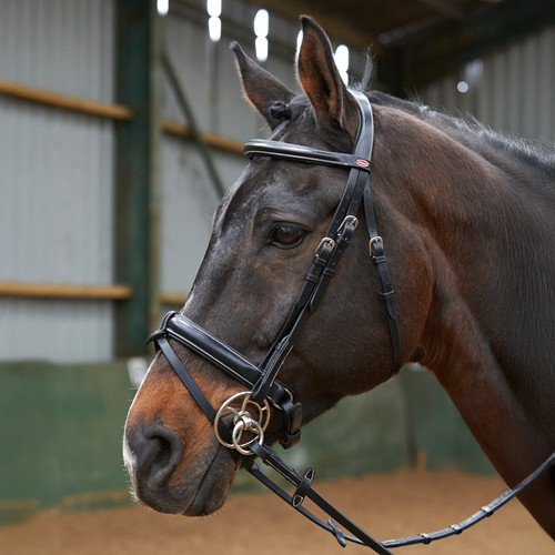 Whitaker eastwood crank bridle - crank,