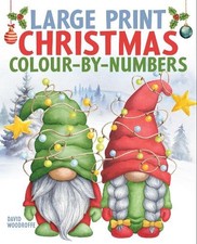 Large Print Christmas Colour-by-Numbers - 9781398851566